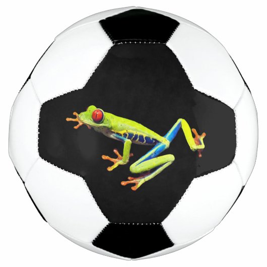 アカメアオモリアホウドリ サッカーボール (正面)