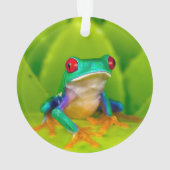 アカメアマガエル コスタリカ オーナメント (裏面)