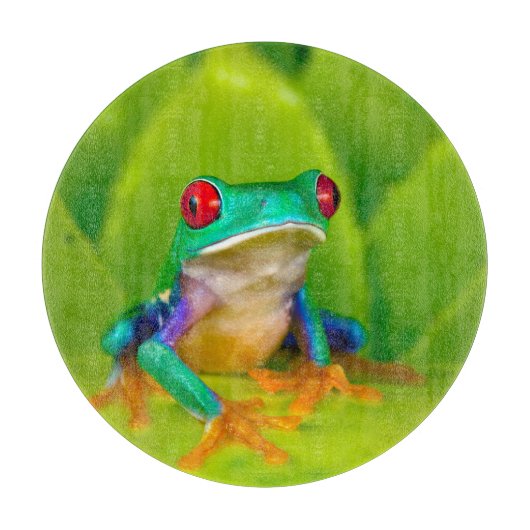 アカメアマガエル コスタリカ カッティングボード (正面)