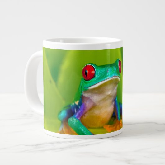 アカメアマガエル コスタリカ ジャンボコーヒーマグカップ (正面左)