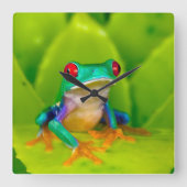 アカメアマガエル コスタリカ スクエア壁時計 (正面)