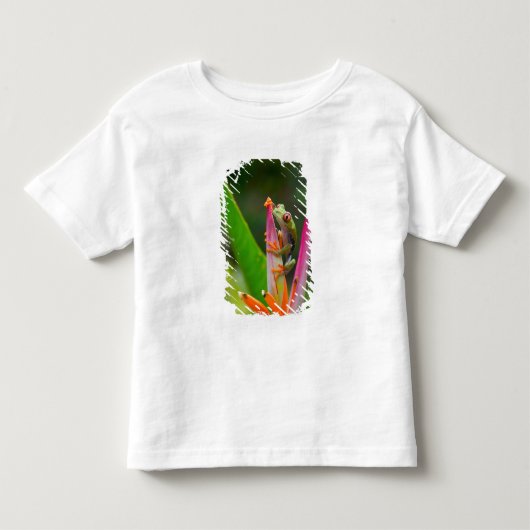 アカメアマガエル、コスタリカ トドラーTシャツ (正面)