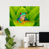 アカメアマガエル コスタリカ ポスター (ホームオフィス)