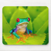 アカメアマガエル コスタリカ マウスパッド (正面)