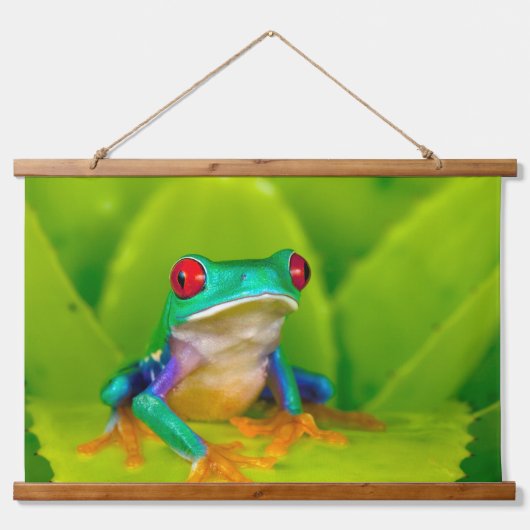 アカメアマガエル コスタリカ 吊り下げ型タペストリー (正面)