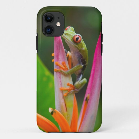 アカメアマガエル コスタリカ Case-Mate iPhoneケース (裏面)
