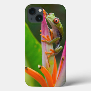 アカメアマガエル、コスタリカ iPhone 13ケース