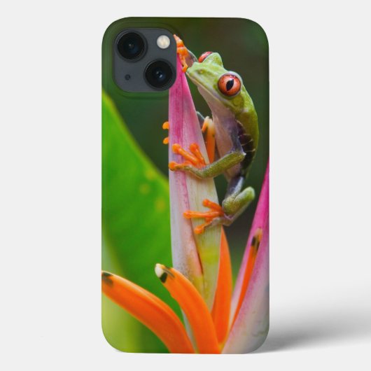 アカメアマガエル、コスタリカ Case-Mate iPhoneケース (裏面)
