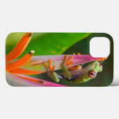 アカメアマガエル、コスタリカ Case-Mate iPhoneケース (裏面 (横))