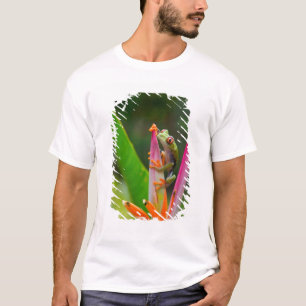 アカメアマガエル、コスタリカ Tシャツ
