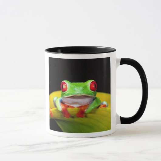 アカメアマガエル ネイティブ マグカップ (右)