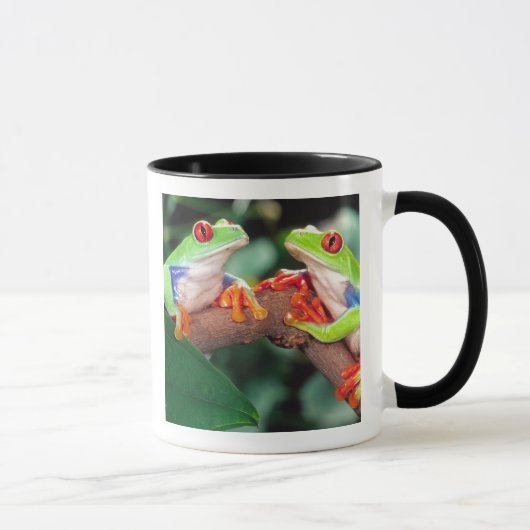 アカメアマガエル ペア アカメアマガエル マグカップ (右)