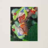 アカメアマガエル ペア アガリクニス・カリドリアス ジグソーパズル (縦)