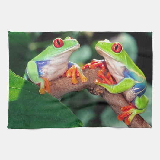 アカメアマガエル ペア Agalychinis callidryas キッチンタオル (横)