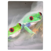アカメアマガエル 霧の中 クリップボード (裏面)