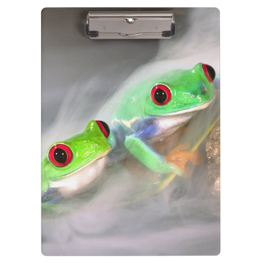 アカメアマガエル 霧の中 クリップボード (正面)