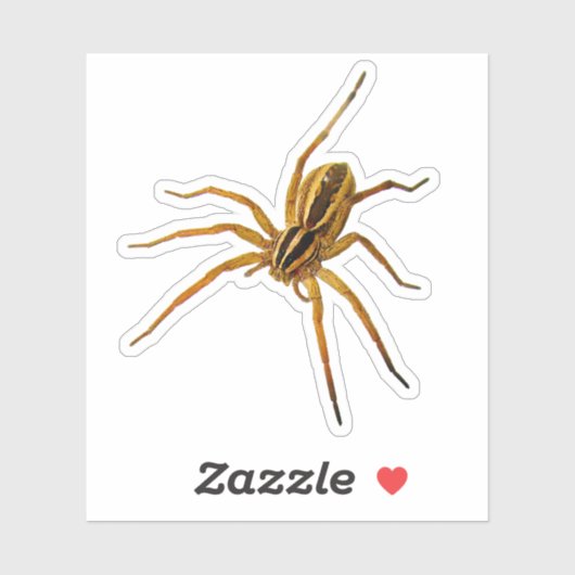 アカメウルフスパイダー (Rabidosa rabida) シール (シート)