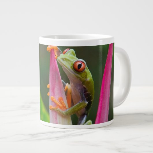 アカメガエル コスタリカ ジャンボコーヒーマグカップ (正面右)