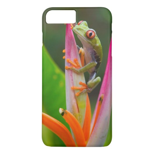 アカメガエル コスタリカ Case-Mate iPhoneケース (裏面)