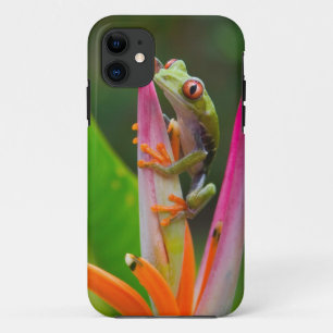アカメガエル コスタリカ iPhone 11 ケース