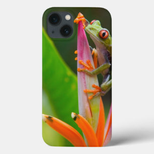 アカメガエル コスタリカ iPhone 13ケース