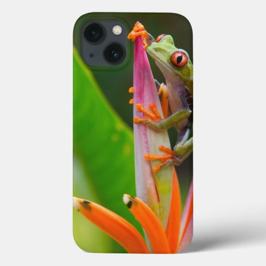 アカメガエル コスタリカ Case-Mate iPhoneケース (裏面)