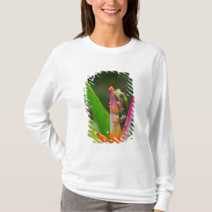 アカメガエル コスタリカ Tシャツ