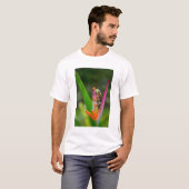 アカメガエル コスタリカ Tシャツ (正面フル)