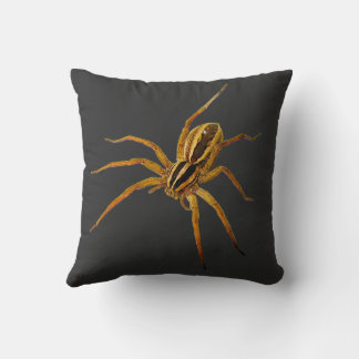アカメガシワコモリグモ (Rabidosa rabida) クッション