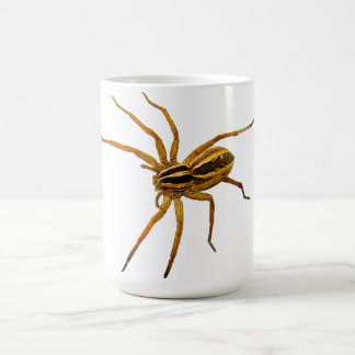 アカメガシワタカアシダカグモ (Rabidosa rabida) コーヒーマグカップ