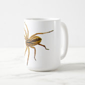 アカメガシワタカアシダカグモ (Rabidosa rabida) コーヒーマグカップ (正面右)