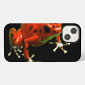 アカヤドクガエル iPhoneケース (裏面横)