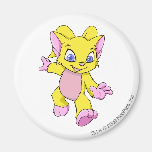 アカライエロー マグネット (正面)