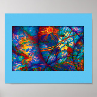 アカラ・リーガリス ポスター