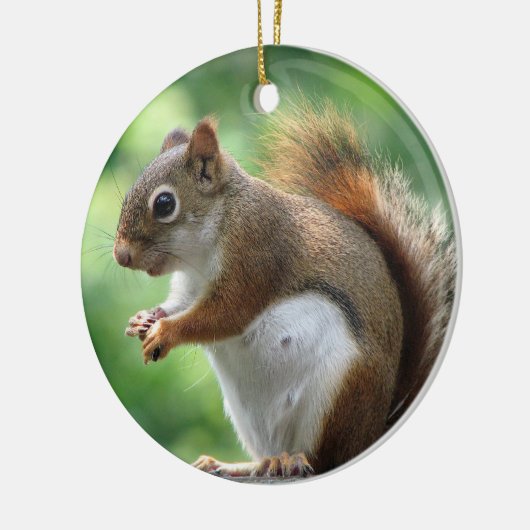 アカリスのクリスマスのオーナメント セラミックオーナメント (左)