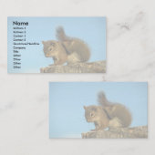 アカリスの負傷 名刺 (正面/裏面)