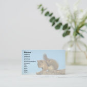 アカリスの負傷 名刺 (スタンド正面)