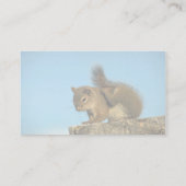 アカリスの負傷 名刺 (裏面)