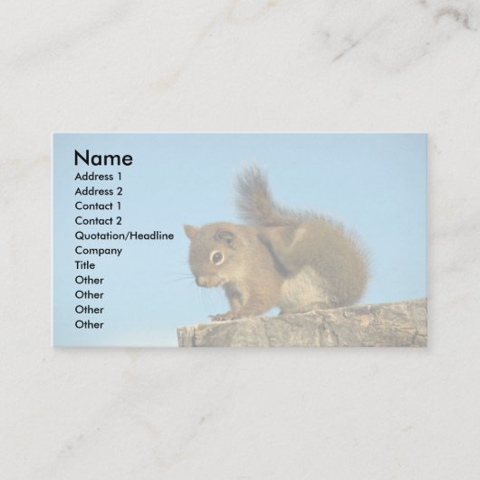 アカリスの負傷 名刺 (正面)