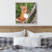 アカリスアニマルプリント キャンバスプリント (インサイチュ (寝室))