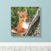 アカリスアニマルプリント キャンバスプリント (インサイチュ (ウッドフロア))