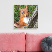 アカリスアニマルプリント キャンバスプリント (インサイチュ (リビング))