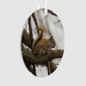 アカリス オーナメント (正面)