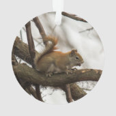 アカリス オーナメント (裏面)