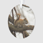 アカリス オーナメント (正面)