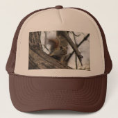 アカリス キャップ (正面)