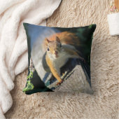 アカリス クッション (ブランケット)