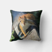 アカリス クッション (裏面)