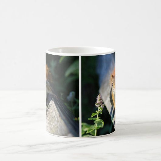 アカリス コーヒーマグカップ (中央)