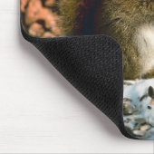 アカリス マウスパッド (コーナー)